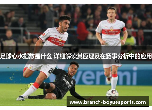 足球心水指数是什么 详细解读其原理及在赛事分析中的应用