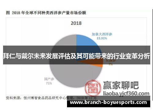拜仁与戴尔未来发展评估及其可能带来的行业变革分析