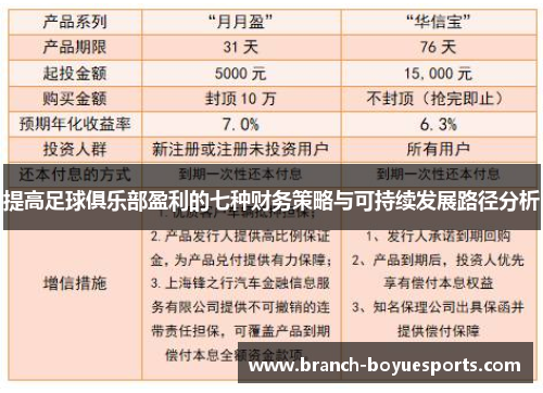 提高足球俱乐部盈利的七种财务策略与可持续发展路径分析